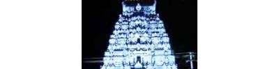 256. திருவொற்றியூர்